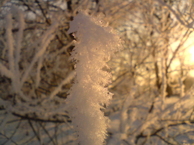 DSC00206.JPG