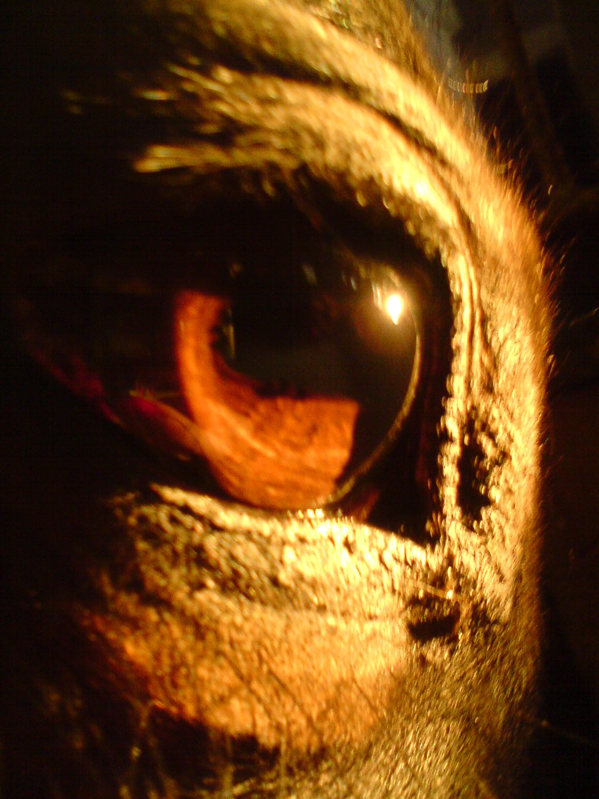 DSC00523.JPG