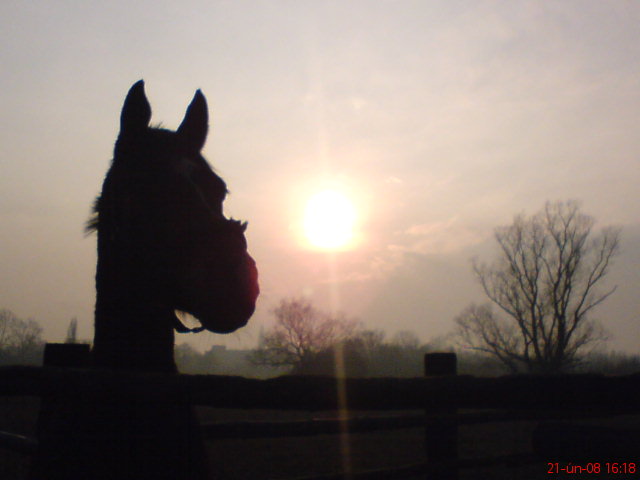 DSC00342.JPG