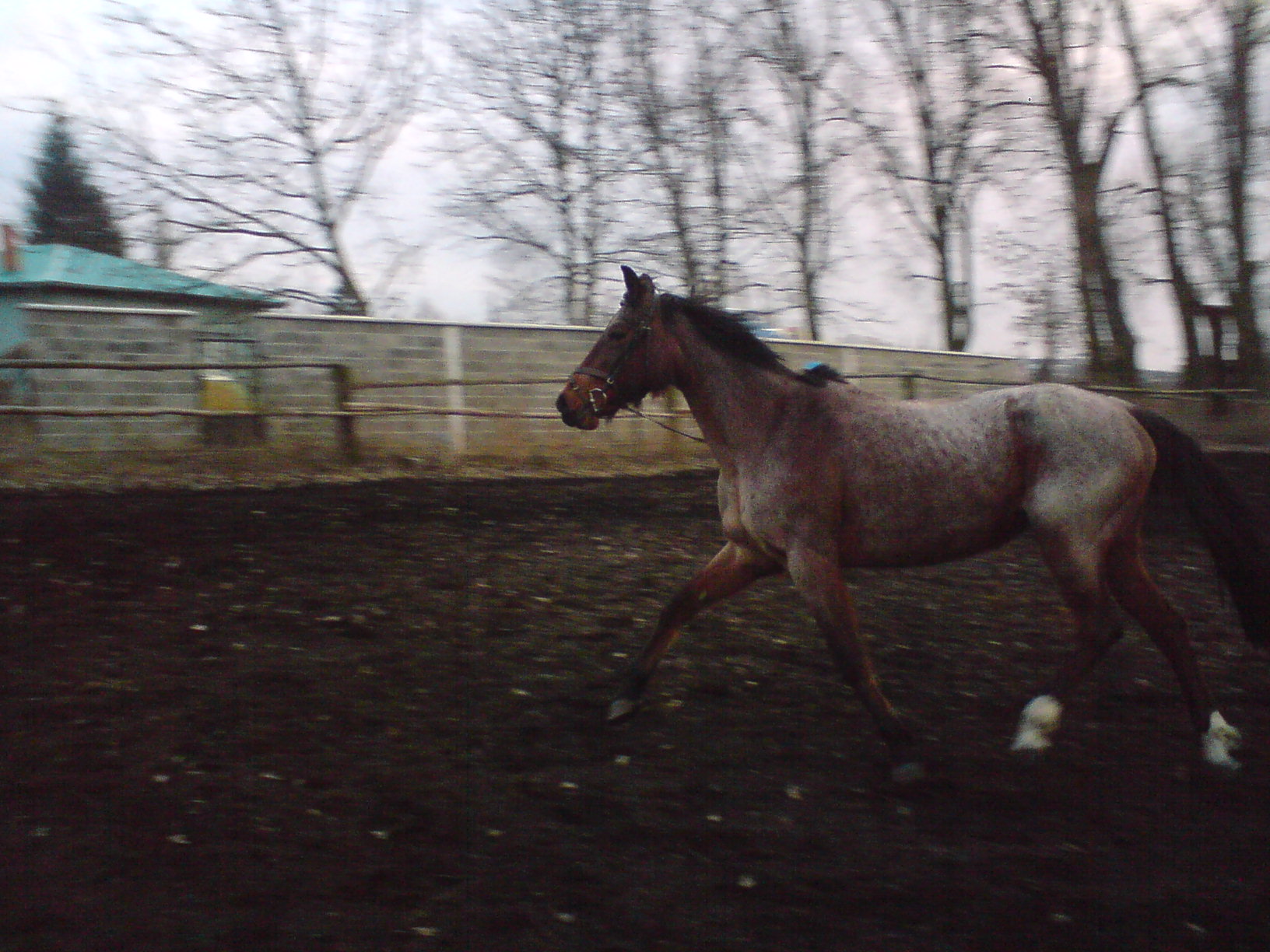 DSC00654.JPG