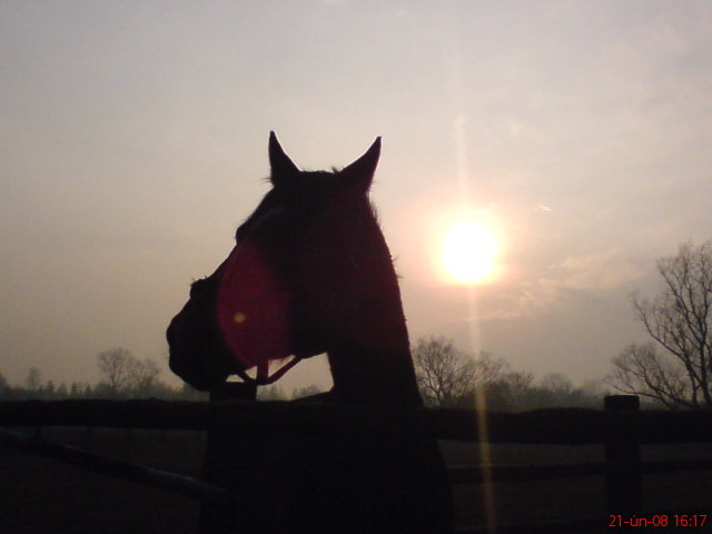 DSC00341.JPG