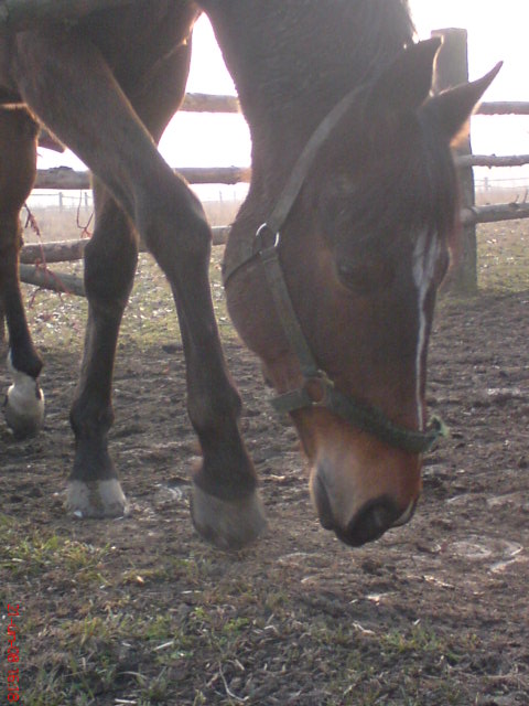 DSC00344.JPG