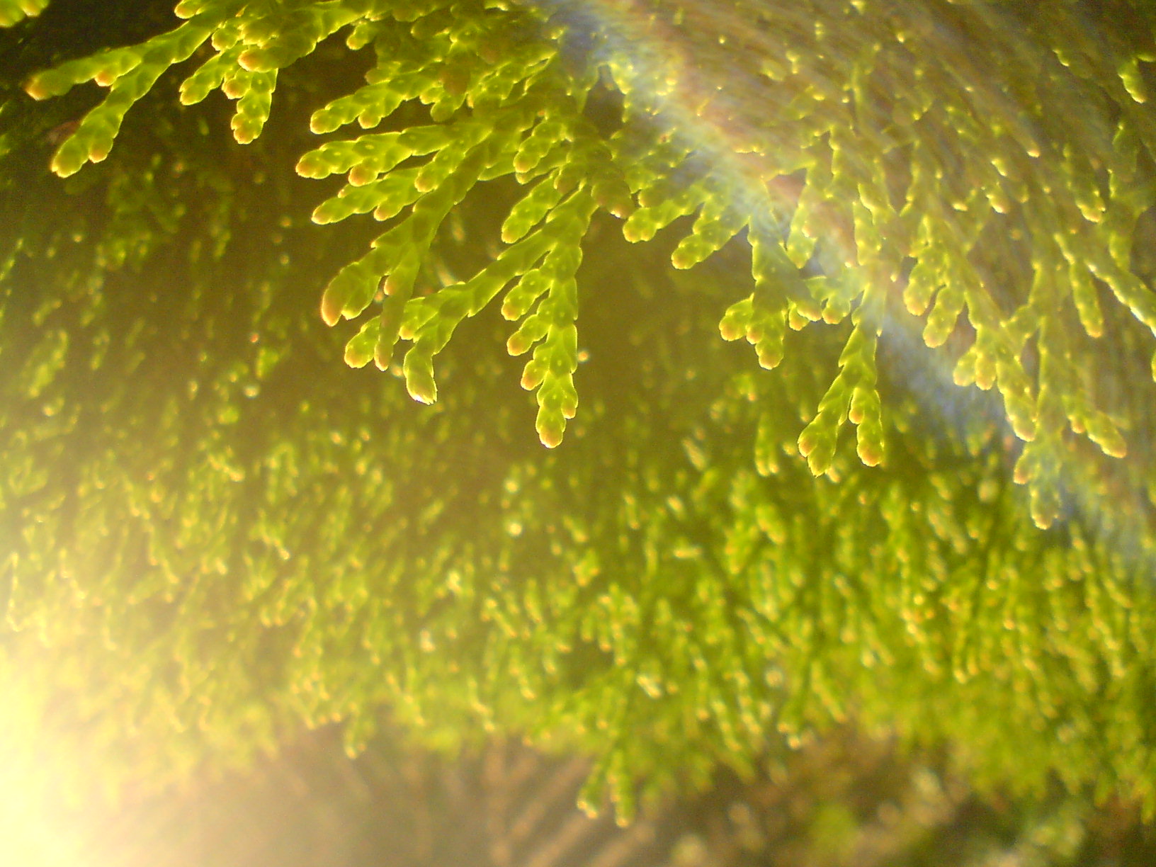 DSC00172.JPG
